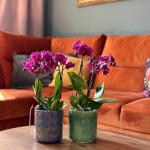 Keramični lonec Vintage 05.334.14